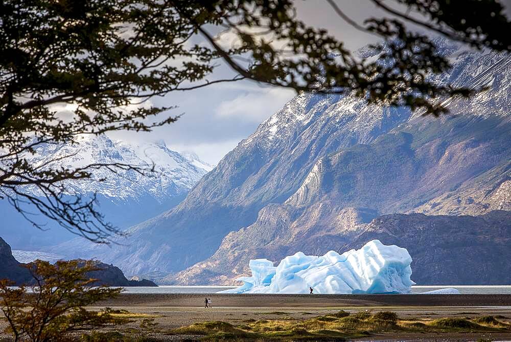 Grey Lake, iceberg detached from Grey Glacier, Torres del Paine national park, Patagonia, Chile