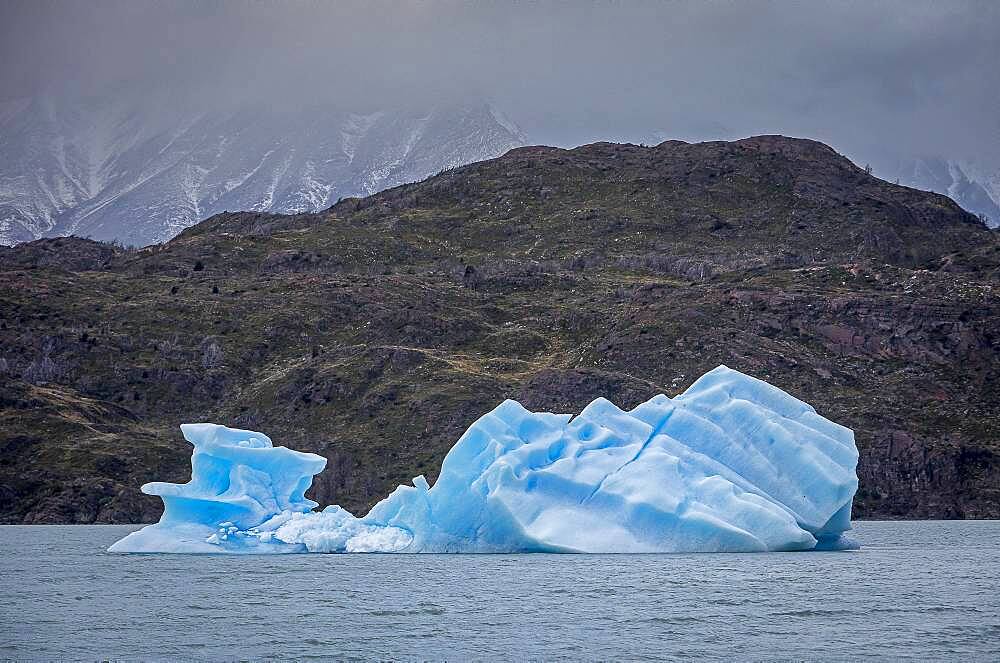 Grey Lake, iceberg detached from Grey Glacier, Torres del Paine national park, Patagonia, Chile