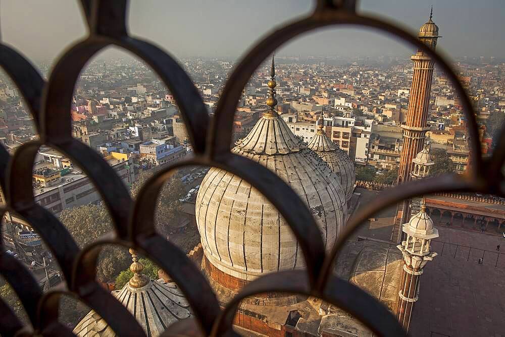 Minaret and domes of Jama Masjid mosque, Delhi, India