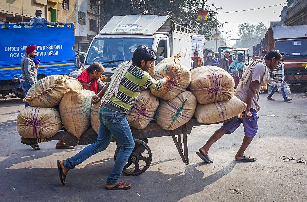 Carriers distributing the goods in the market, Chandni Chowk, Old Delhi, India