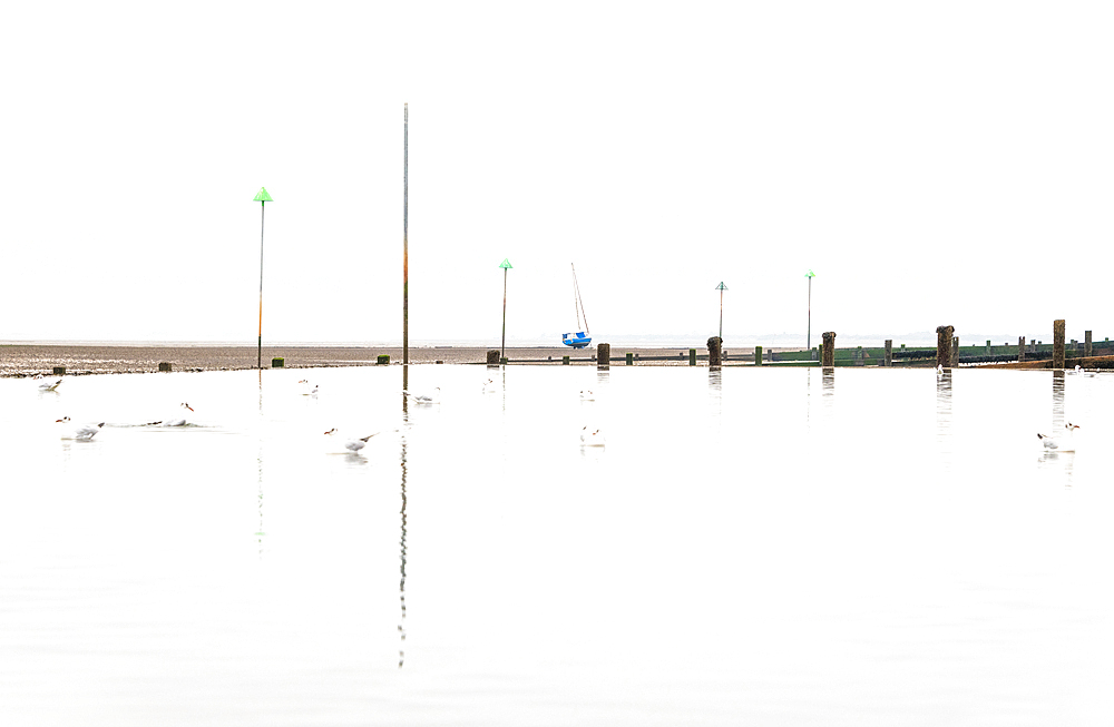 Tidal pool at low tide at Leigh on Sea, Essex, England, United Kingdom, Europe