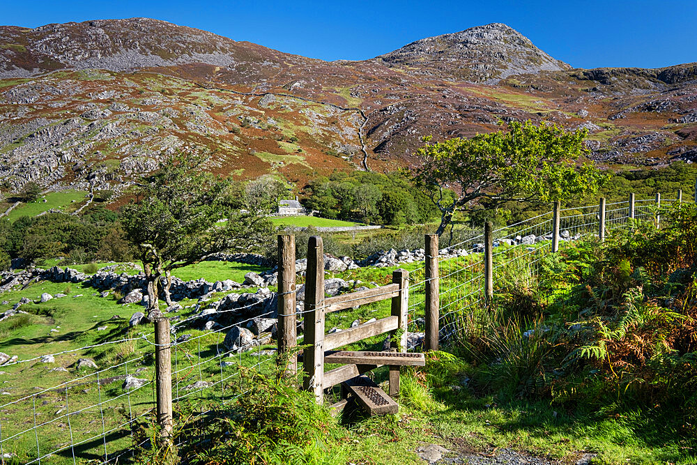 Cwm Bychan Farmhouse below Clip, Cwm Bychan, The Rhinogydd (Rhinog) Mountains, Snowdonia National Park, North Wales, United Kingdom, Europe