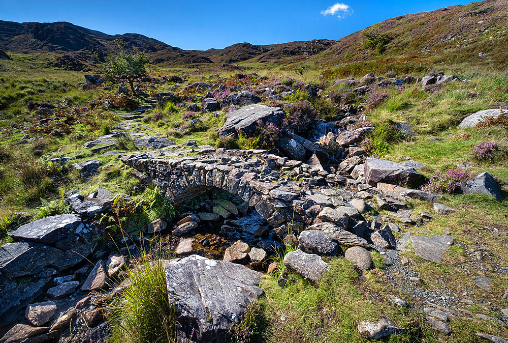 The Roman Steps in summer above Cwm Bychan, Rhinogydd (Rhinog) Mountains, Snowdonia National Park, North Wales, United Kingdom, Europe