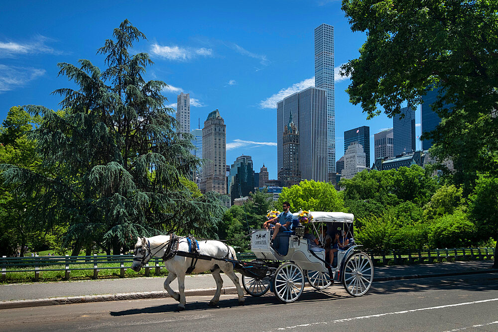 Horse Carriage Ride through Central Park with New York city skyline behind, Central Park, Manhattan, New York, United States of America, North America