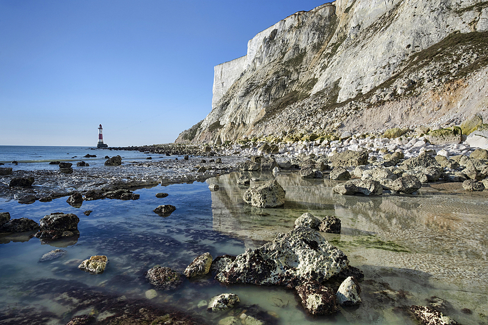 Beachy Head Lighthouse and Beachy Head White Chalk Cliffs viewed from the coast, Beachy Head, near Eastbourne, South Downs National Park, East Sussex, England, United Kingdom, Europe