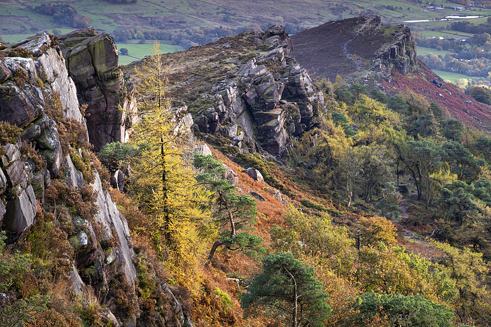 Hen Cloud and The Roaches in autumn, near Leek, Peak District National Park, Staffordshire Moorlands, Staffordshire, England, United Kingdom, EuropeUnited Kingdom, Europe