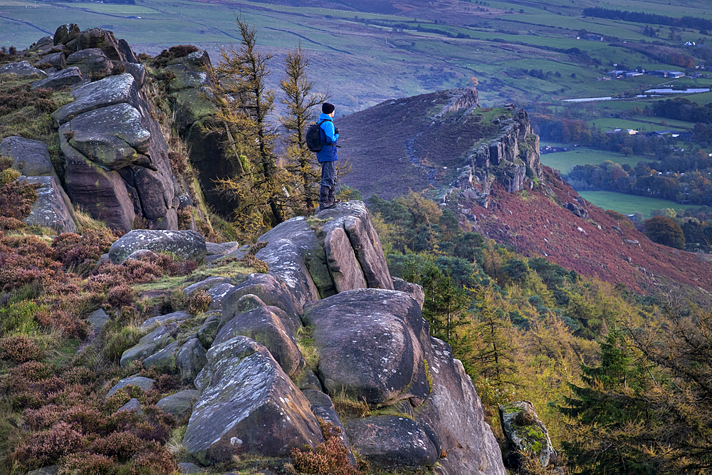 Walker looking out over Hen Cloud from The Roaches rock formation in autumn, Peak District National Park, Staffordshire Moorlands, Staffordshire, England, United Kingdom, Europe