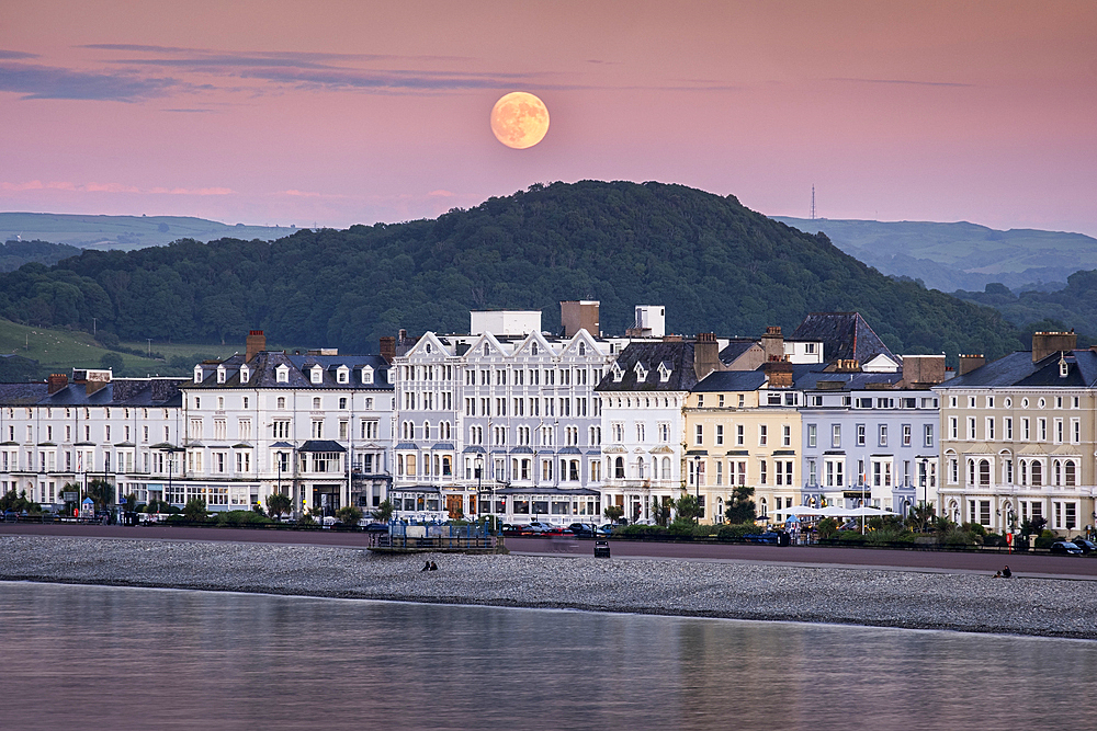 Strawberry Moon rising over Llandudno Seafront, Llandudno, Conwy County Borough, North Wales, United Kingdom, Europe