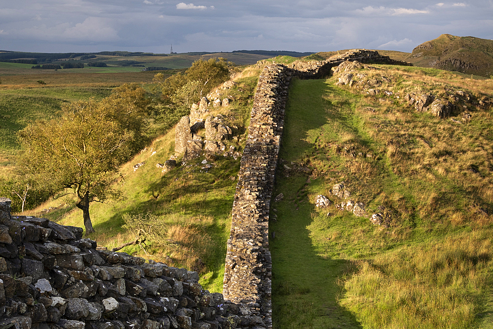 UNESCO World Heritage Site Hadrians Wall looking east from Walltown, Hadrians Wall, near Greenhead, Northumberland National Park, Northumberland, England, UK