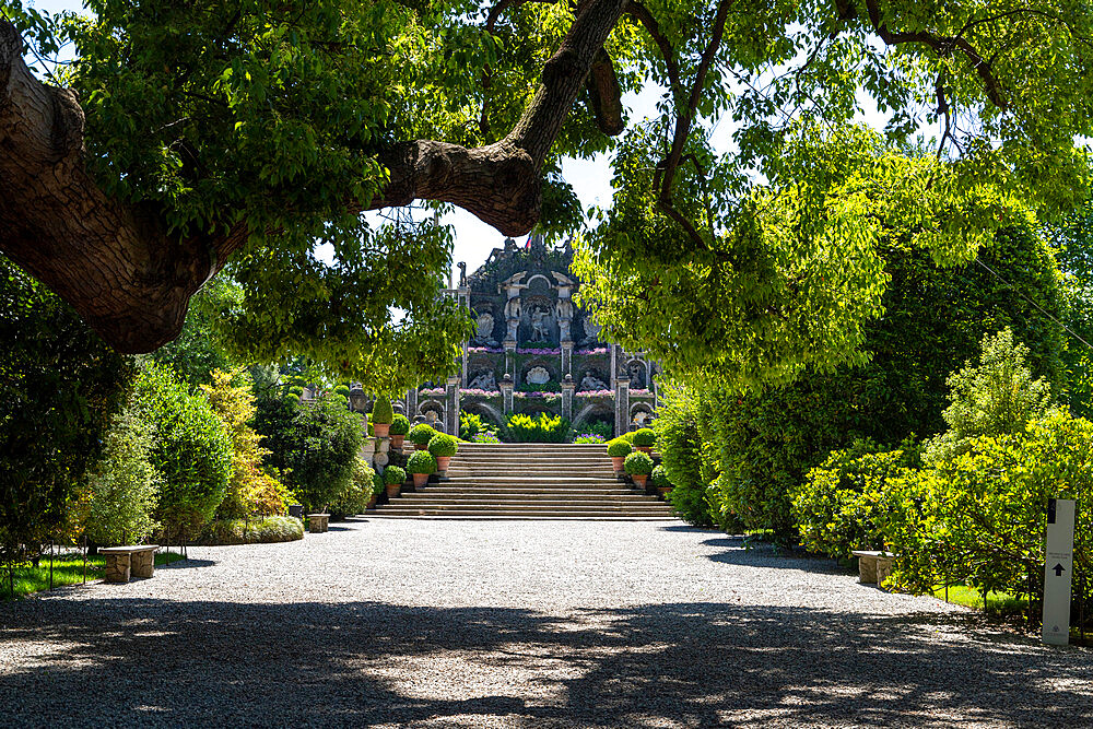 The gardens of Palazzo Borromeo, Isola Bella, Borromean Islands, Lake Maggiore, Stresa, Piedmont, Italian Lakes, Italy, Europe