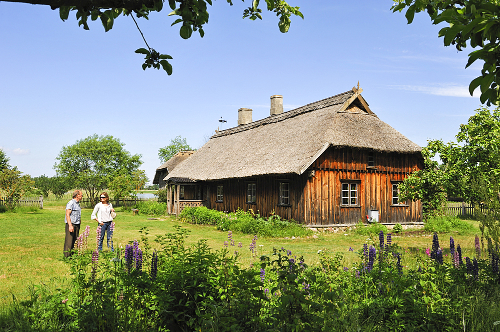 Thatched house, traditional fisherman's farmstead of a coastal village, Ethnographic Open-Air Museum near Riga, Latvia, Baltic region, Europe