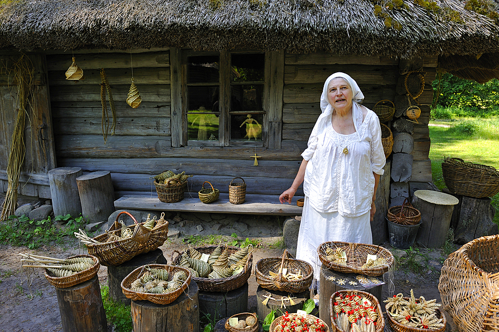 Senior woman making basketwork beside her thatched house in the village of Vidzeme, Ethnographic Open-Air Museum near Riga, Latvia, Baltic region, Europe