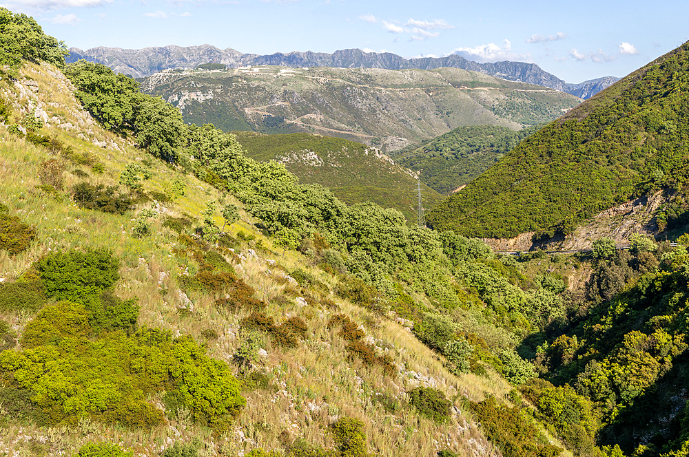 Forested hillsides of mountainous countryside between Himare and Vuno, Albanian Riviera coast, Albania, Europe