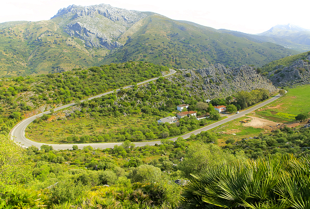 Mountain landscape of Serrania de Ronda, near Cueva de la Pileta, Malaga province, Andalusia, Spain, Europe