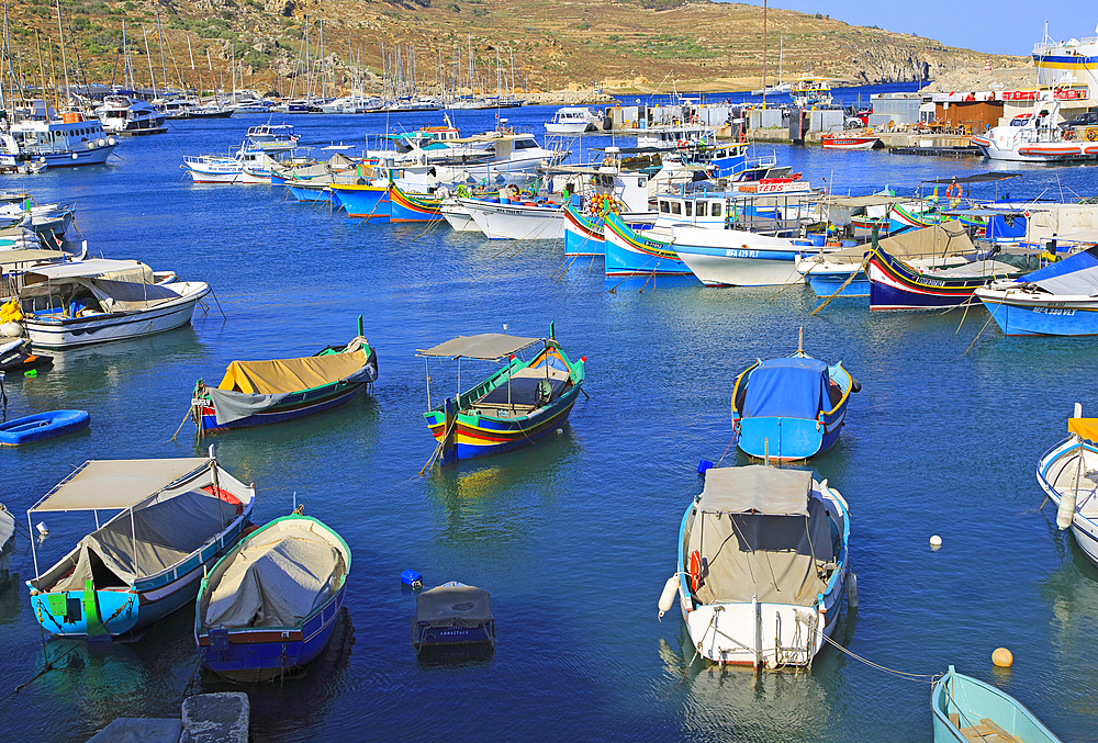 Colourful fishing boats in the harbour at port of Mgarr, island of Gozo, Malta, Mediterranean, Europe