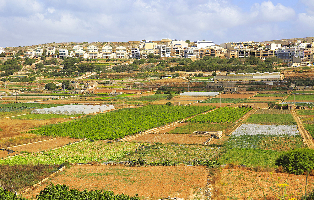 Fertile farmland in Pwales valley, St Paul's Bay, Ghajn Tuffieha, Malta, Mediterranean, Europe