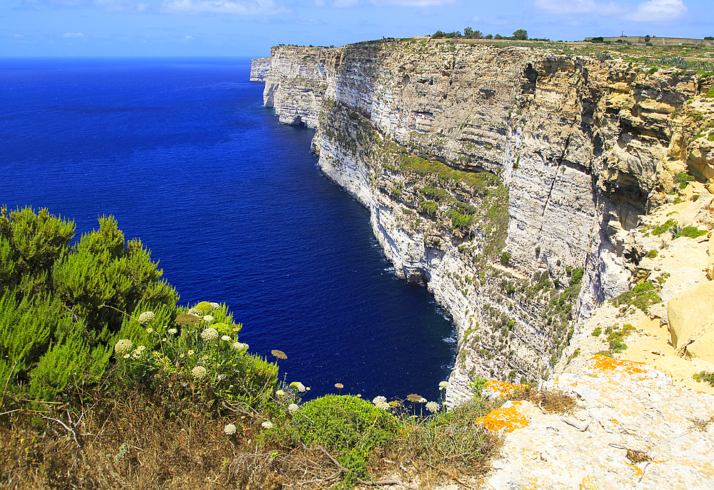 Coastal clifftop landscape view westwards at Ta' Cenc cliffs, island of Gozo, Malta, Mediterranean, Europe