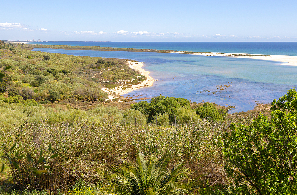 Coastal wooded landscape of pristine beaches and lagoon behind offshore sandbar, Cacela Velha, Vila Real de Santo Antonio, Ria Formosa Natural Park, Algarve, Portugal,  Europe