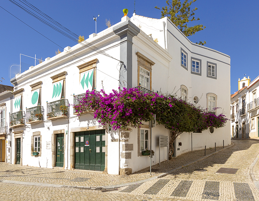 Bougainvillea plant in flower growing on whitewashed house old town, Tavira, Algarve, Portugal, Europe