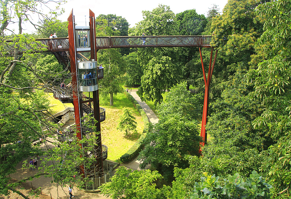 Xstrata Treetop Walkway, Royal Botanic Gardens, UNESCO World Heritage Site, Kew, London, England, United Kingdom, Europe