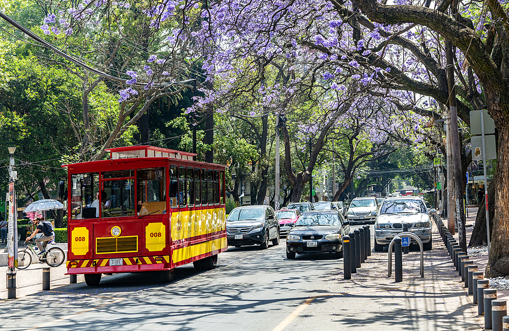 Tranvia Turistico historic tourist tram vehicle, Parque Mexico, Colonia Hipodromo, La Condesa, Mexico City, Mexico, North America