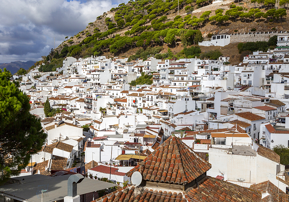 Whitewashed houses on hillside in mountain village of Mijas, Costa del Sol, Malaga province, Andalusia, Spain, Europe