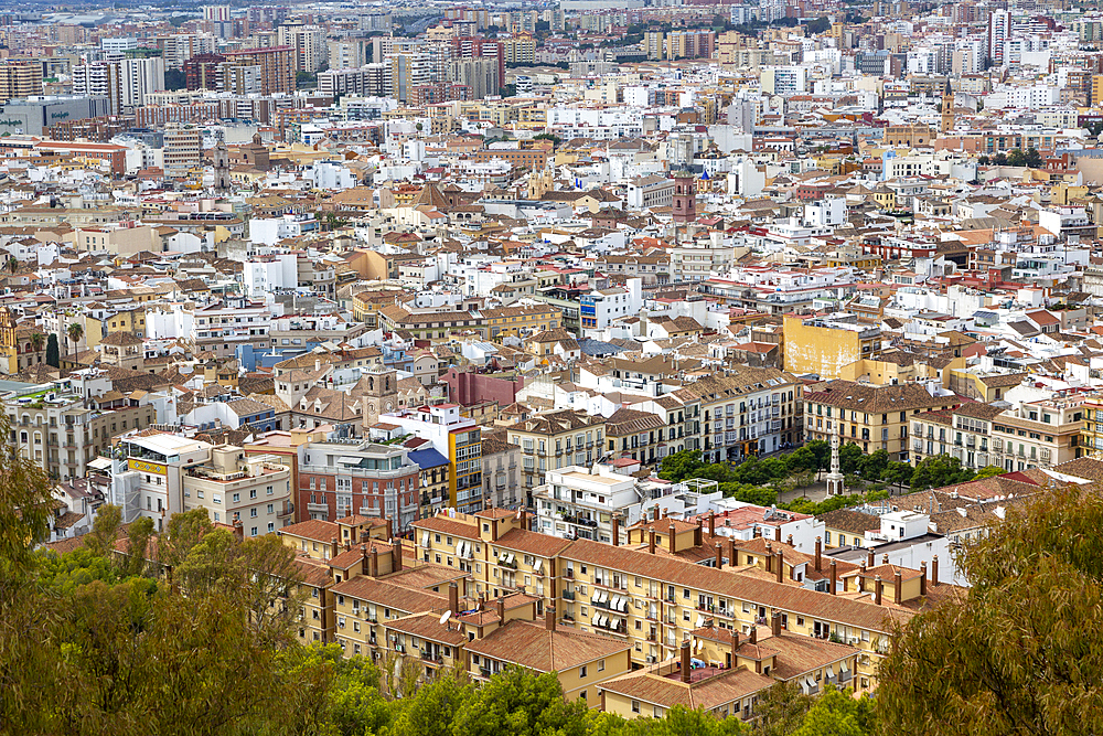 Cityscape view of high density buildings in city centre with Plaza de Merced in lower right, Malaga, Andalusia, Spain, Europe