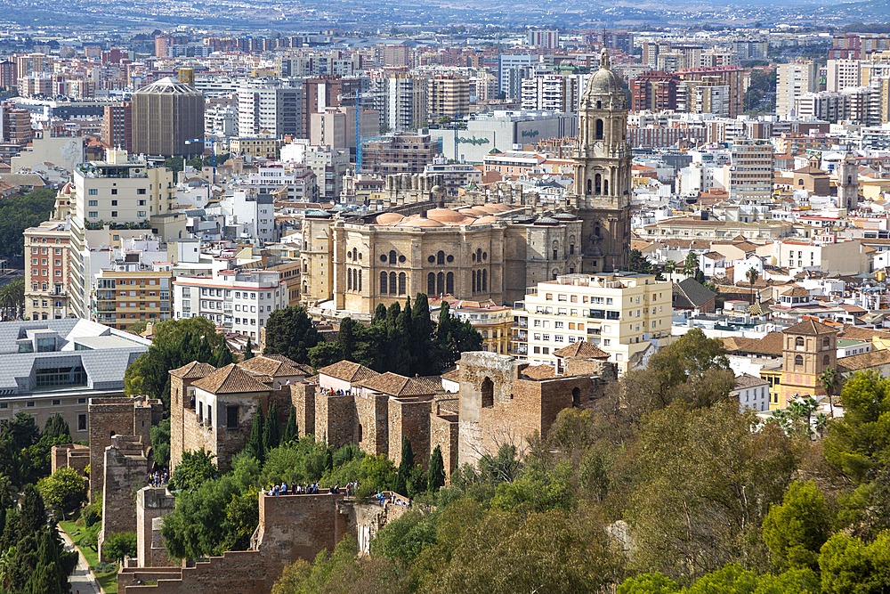 Cityscape view over city centre high density buildings with cathedral church in centre, Malaga, Andalusia, Spain, Europe