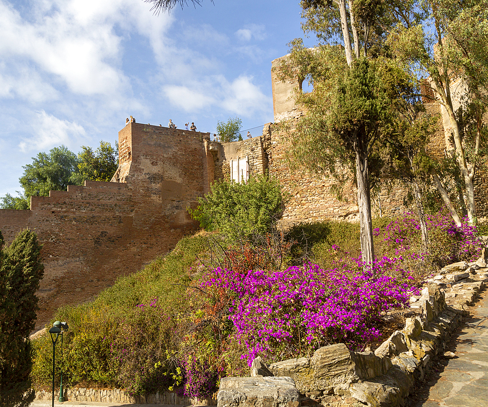 Historic walled defences to Moorish citadel fortress palace of the Alcazaba, Malaga, Andalusia, Spain, Europe