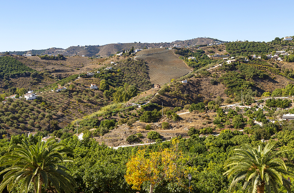 Landscape view of scenery of hillsides with farms and farmhouses, Frigiliana, Axarquía, Andalusia, Spain, Europe