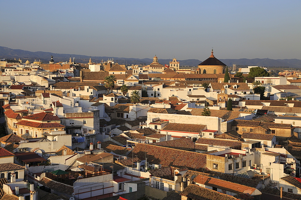 Oblique raised angle view of historic city centre buildings, Cordoba, Spain