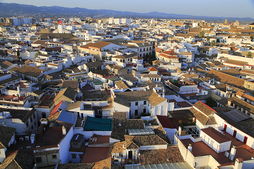 Oblique raised angle view of historic city centre buildings, Cordoba, Spain