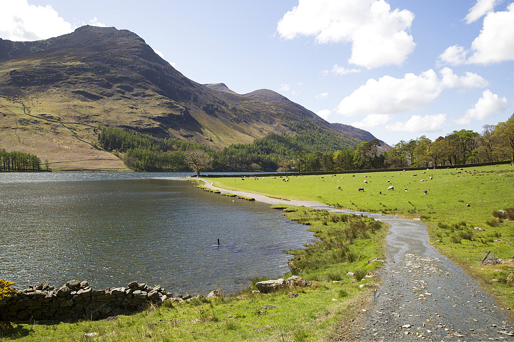 Path around Lake Buttermere, Lake District national park, Cumbria, England, UK