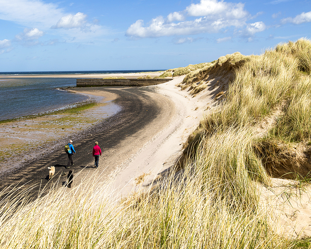 Sandy beach at low tide, Budle Bay, Northumberland, England, UK