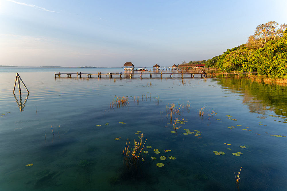 Early morning landscape, Lake Bacalar, Bacalar, Quintana Roo, Yucatan Peninsula, Mexico, North America