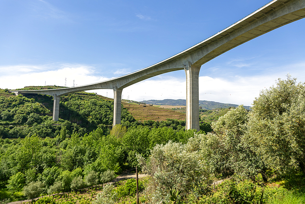 Looking up from below, Ponte da Ermida bridge, River Douro valley, Resende, Baião, Portugal, Europe built 1998