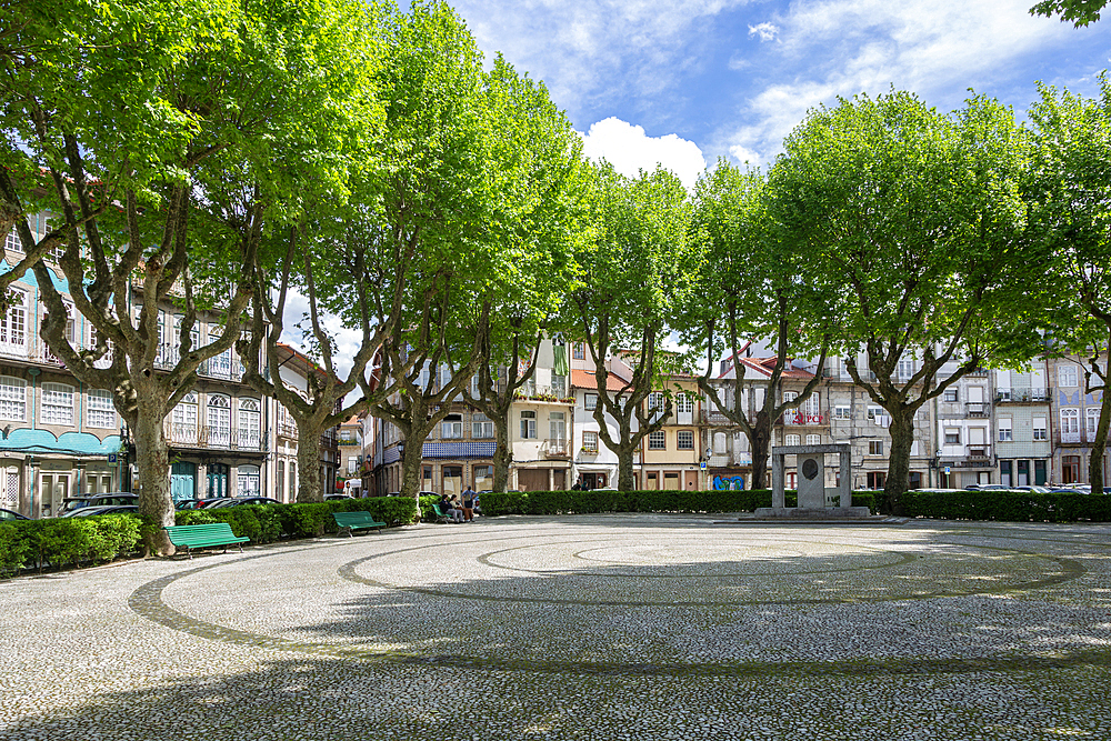 Trees around city park Jardim do Largo Condessa do Juncal, city centre of Guimaraes, northern Portugal, Europe
