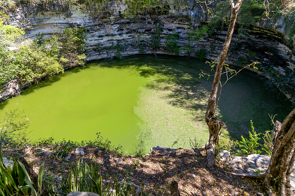 Sacred Cenote, Mayan ruins, Chichen Itza, UNESCO World Heritage Site, Yucatan, Mexico, North America