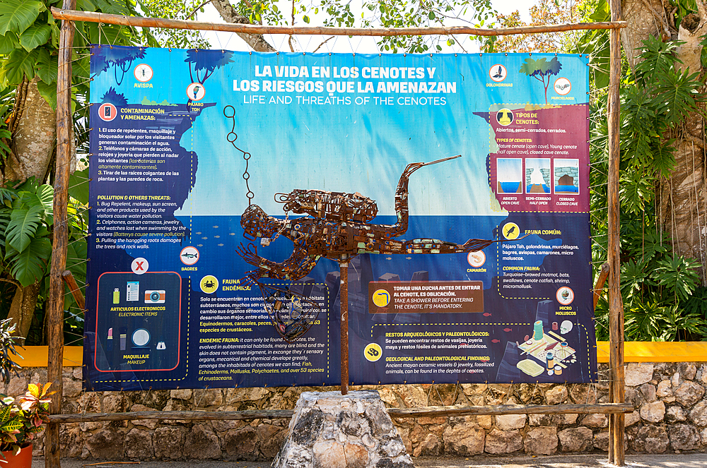 Environmental information poster about ecosystem of limestone cenotes, Yucatan, Mexico, North America