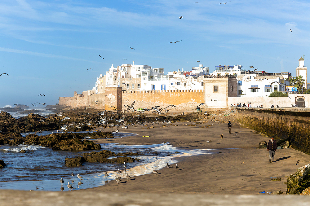 Walled town Medina from the coast, Essaouira, Morocco, North Africa, Africa