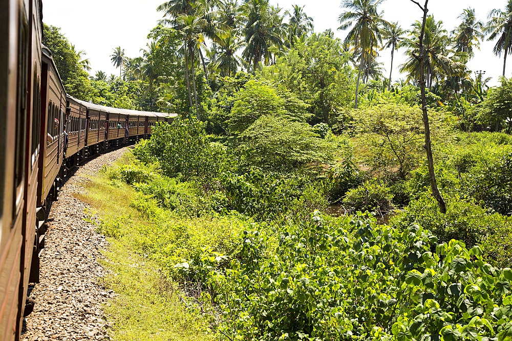 Railway train passing through countryside between Galle and Mirissa, Sri Lanka, Asia