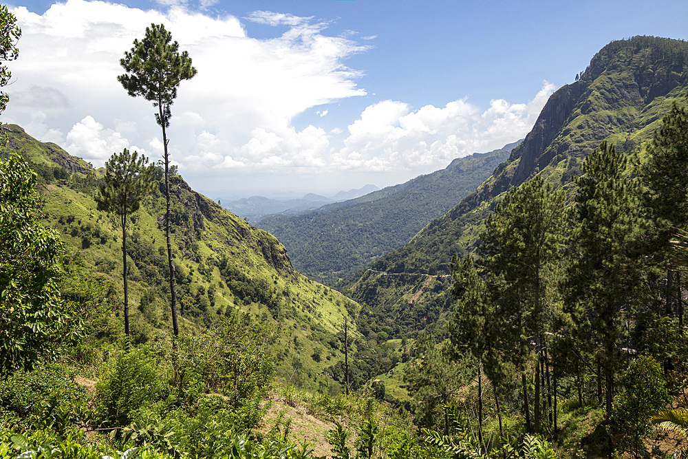 View of Ella Gap pass, Ella, Badulla District, Uva Province, Sri Lanka, Asia