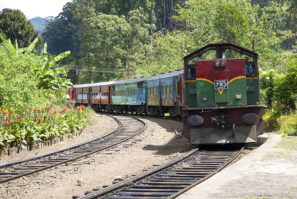 Train arriving at platform of railway station at Ella, Badulla District, Uva Province, Sri Lanka, Asia