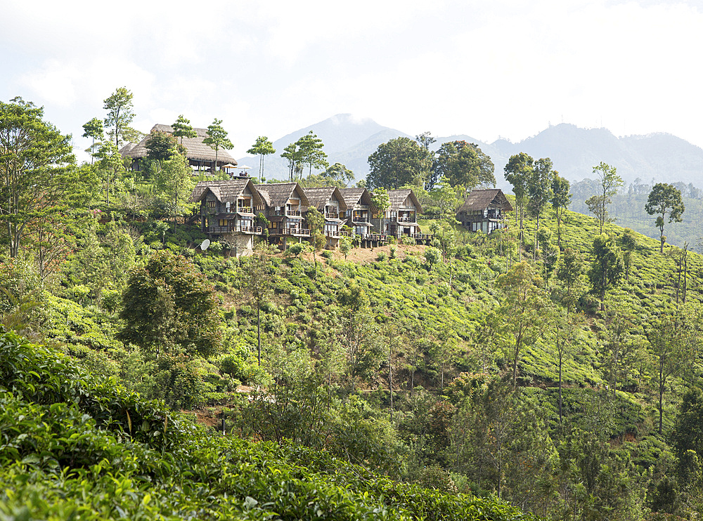 98 Acres resort luxury lodges, Ella, Badulla District, Uva Province, Sri Lanka, Asia