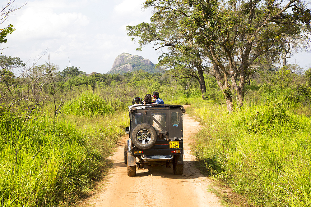 Tourists in vehicle on Elephant safari in Hurulu Eco Park biosphere reserve, Habarana, Anuradhapura District, Sri Lanka, Asia