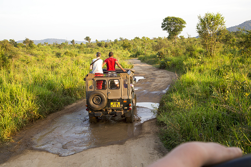 Elephant safari in Hurulu Eco Park biosphere reserve, Habarana, Anuradhapura District, Sri Lanka, Asia