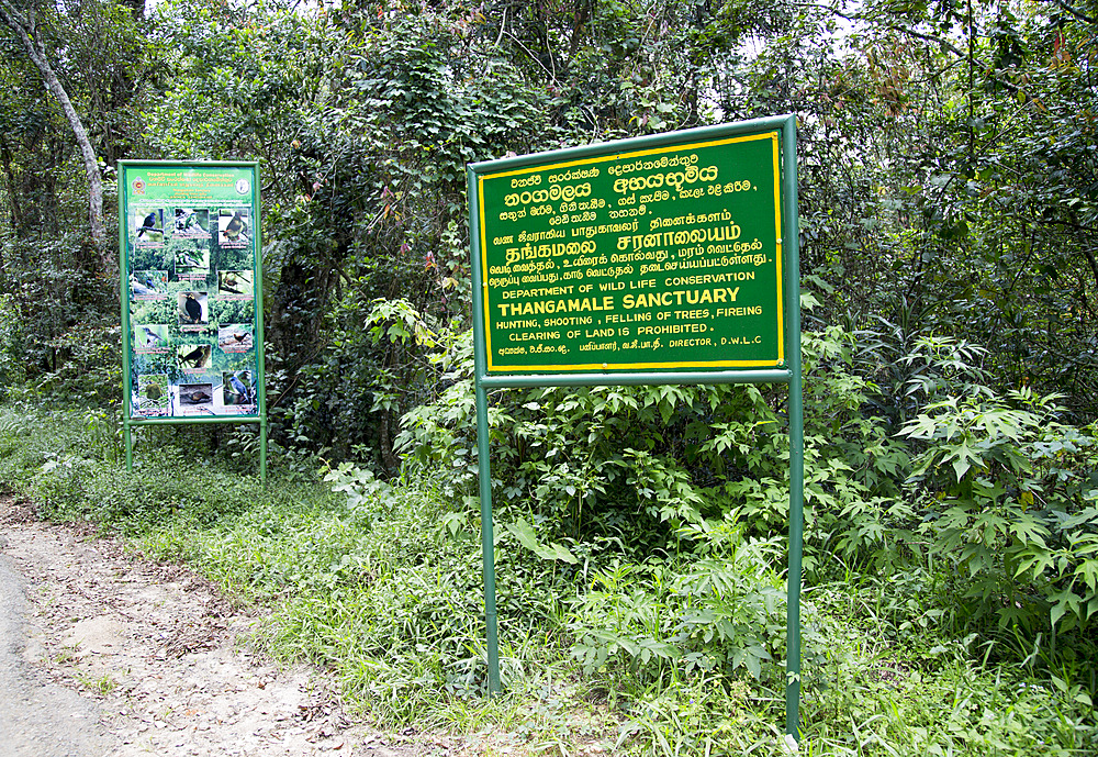 Thangamale wildlife sanctuary sign, Haputale, Badulla District, Uva Province, Sri Lanka, Asia