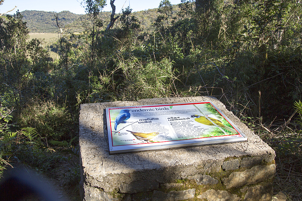 Information board about endemic birds at Horton Plains National Park, Sri Lanka, Asia