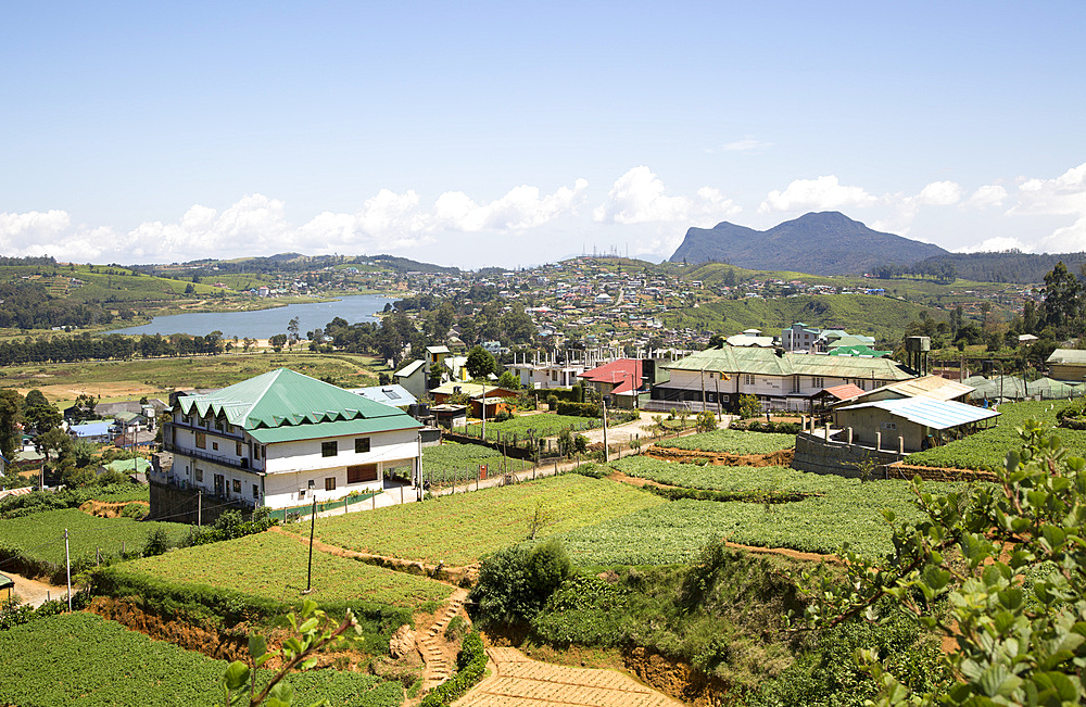 View over farmland to the town of Nuwara Eliya, Central Province, Sri Lanka, Asia