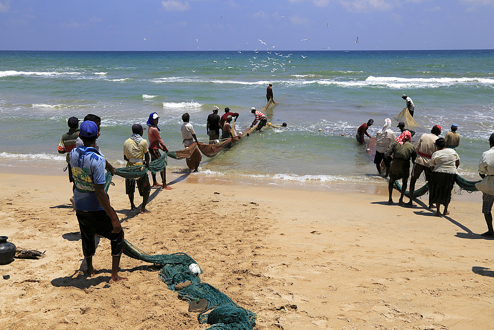 Traditional fishing hauling nets, Nilavelli beach, near Trincomalee, Eastern province, Sri Lanka, Asia